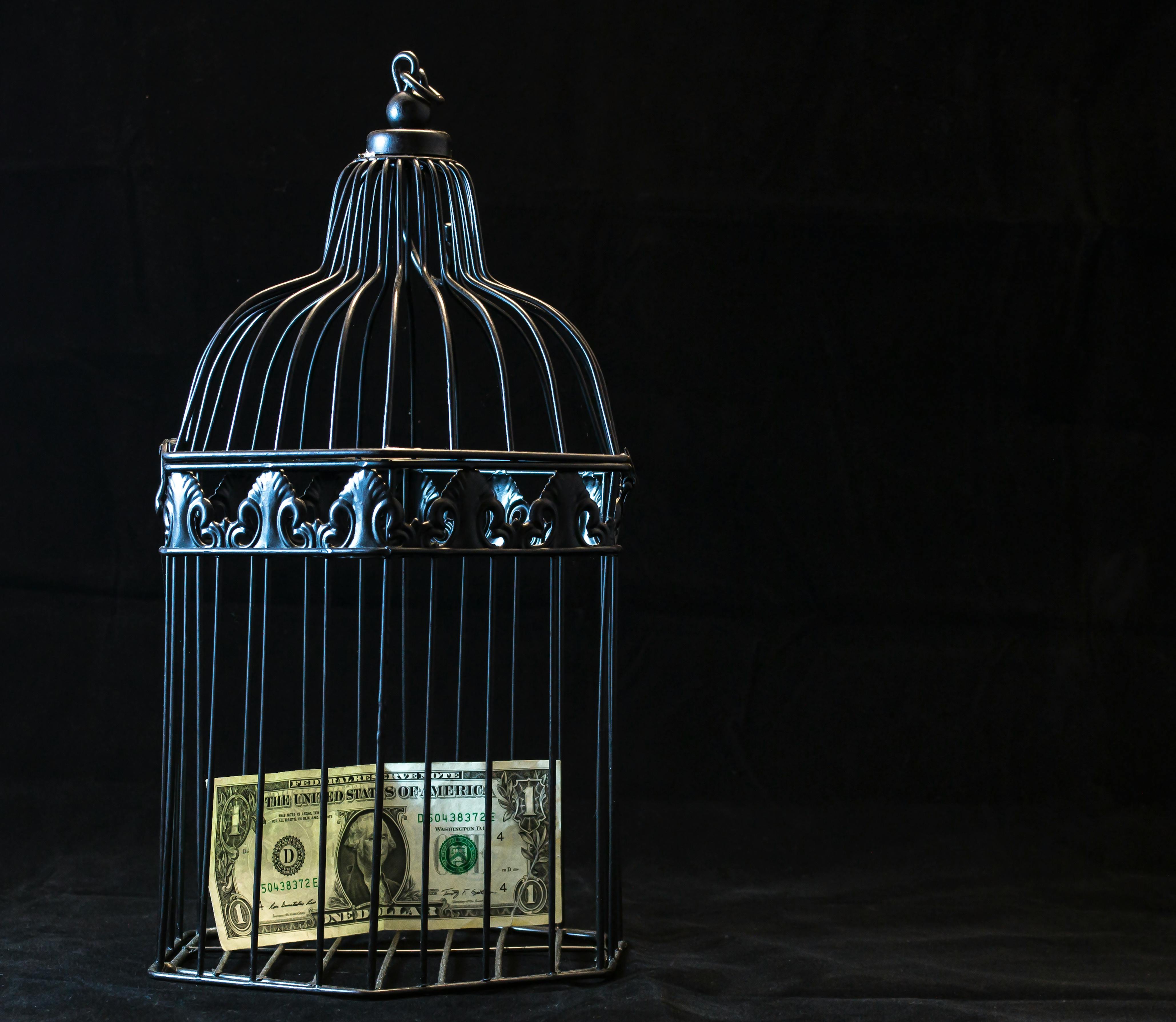 Image for On the 2008 Financial Crisis – A Brief Overview of Its Causes and Lessons