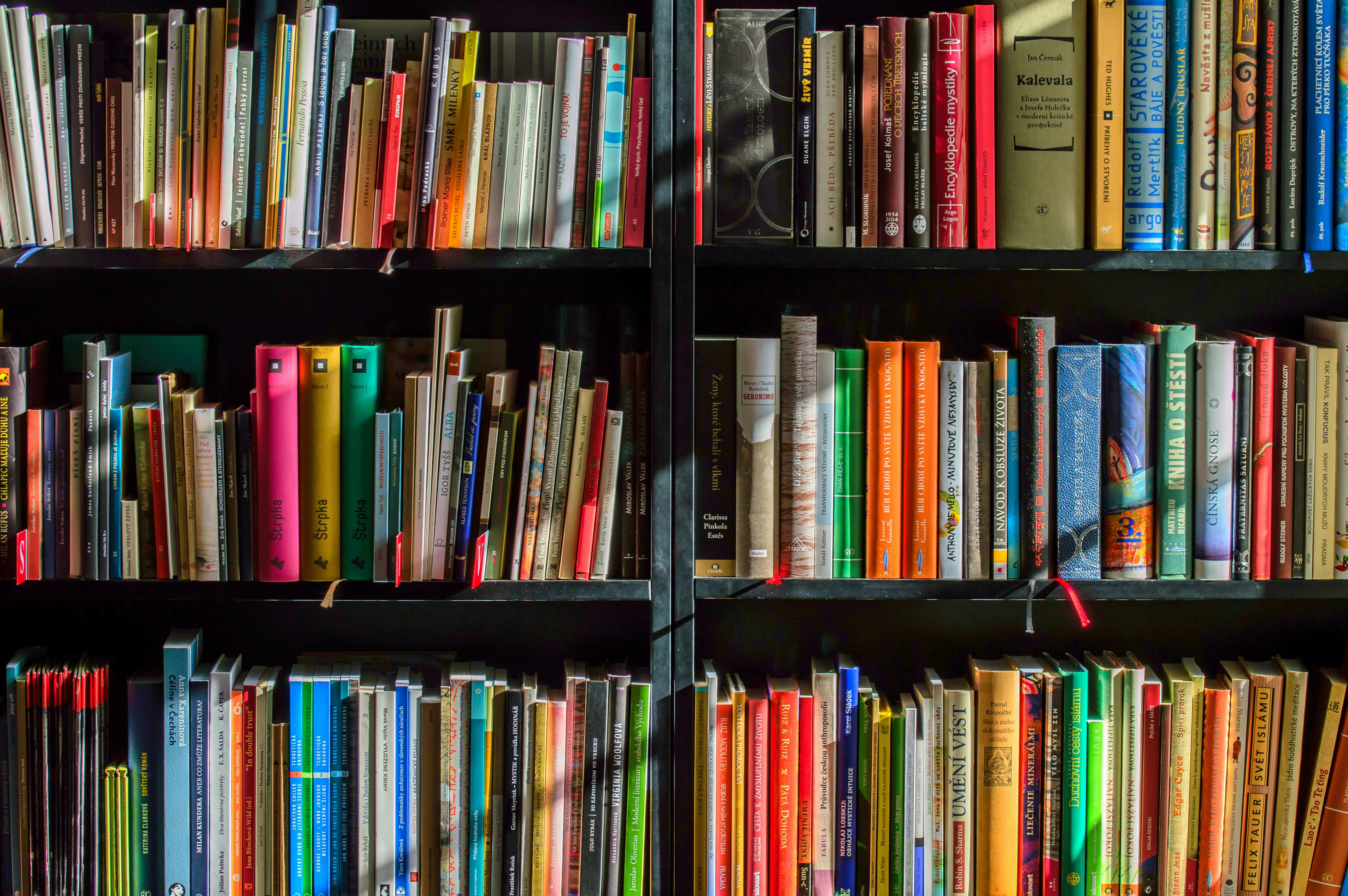 Image for On the Importance of Reading and How to Make it a Habit